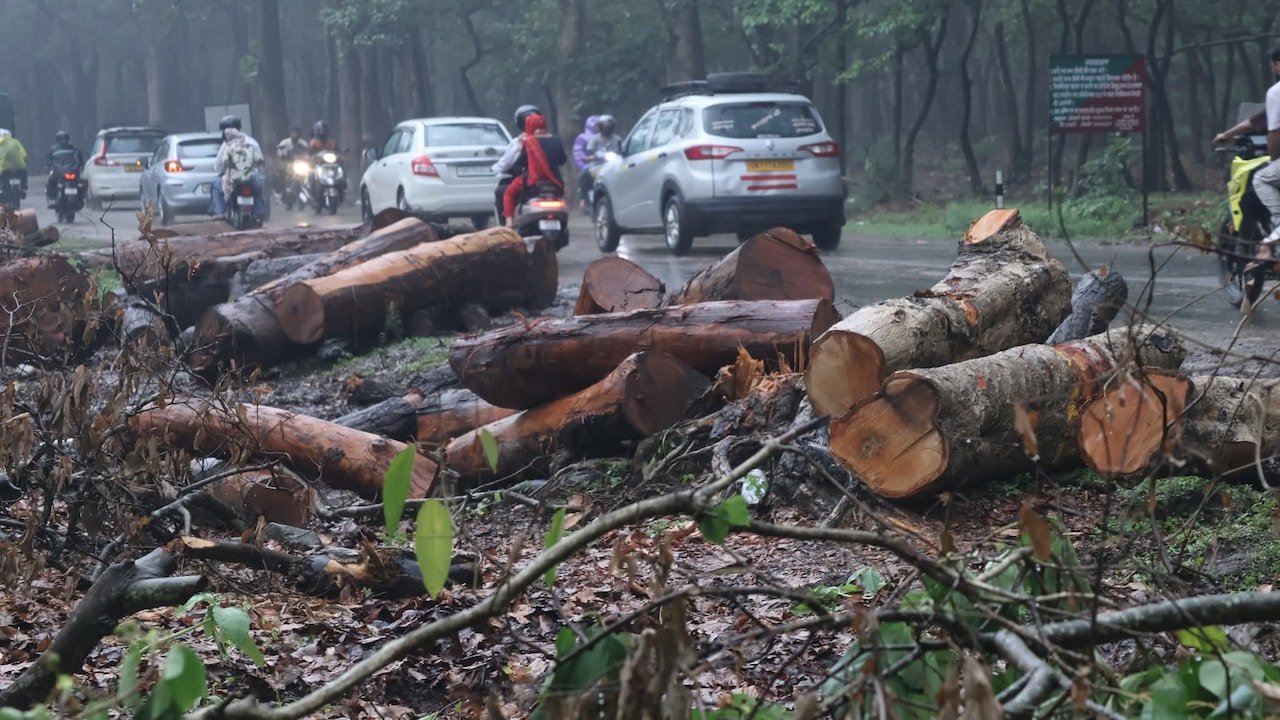 Tree Felling For Rishikesh-Bhaniyawala Project Halted Amid Public Outrage