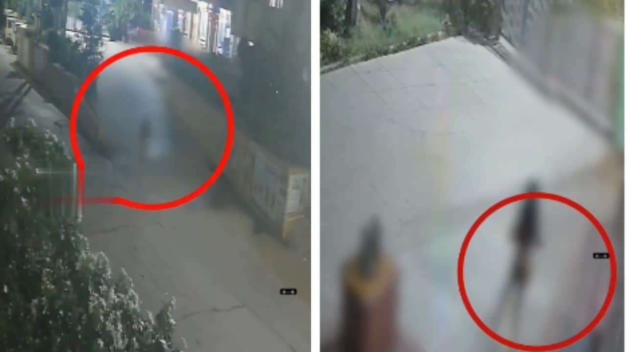 Ex-Techie With Mental Health Issue Runs To Temple Naked, Then Jumps Into Pond