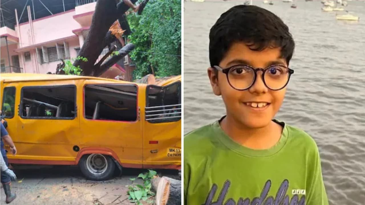 Mumbai Civic Body Rejects Official Report On Tree Collapse That Killed Boy, Orders New Probe