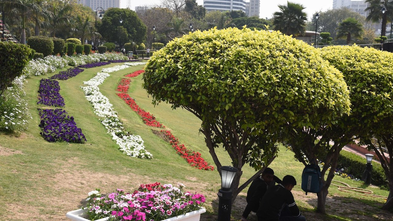675 Parks, 4 Ridge Zones, 6.62 Lakh Plants: Delhi's Monsoon Plantation Push