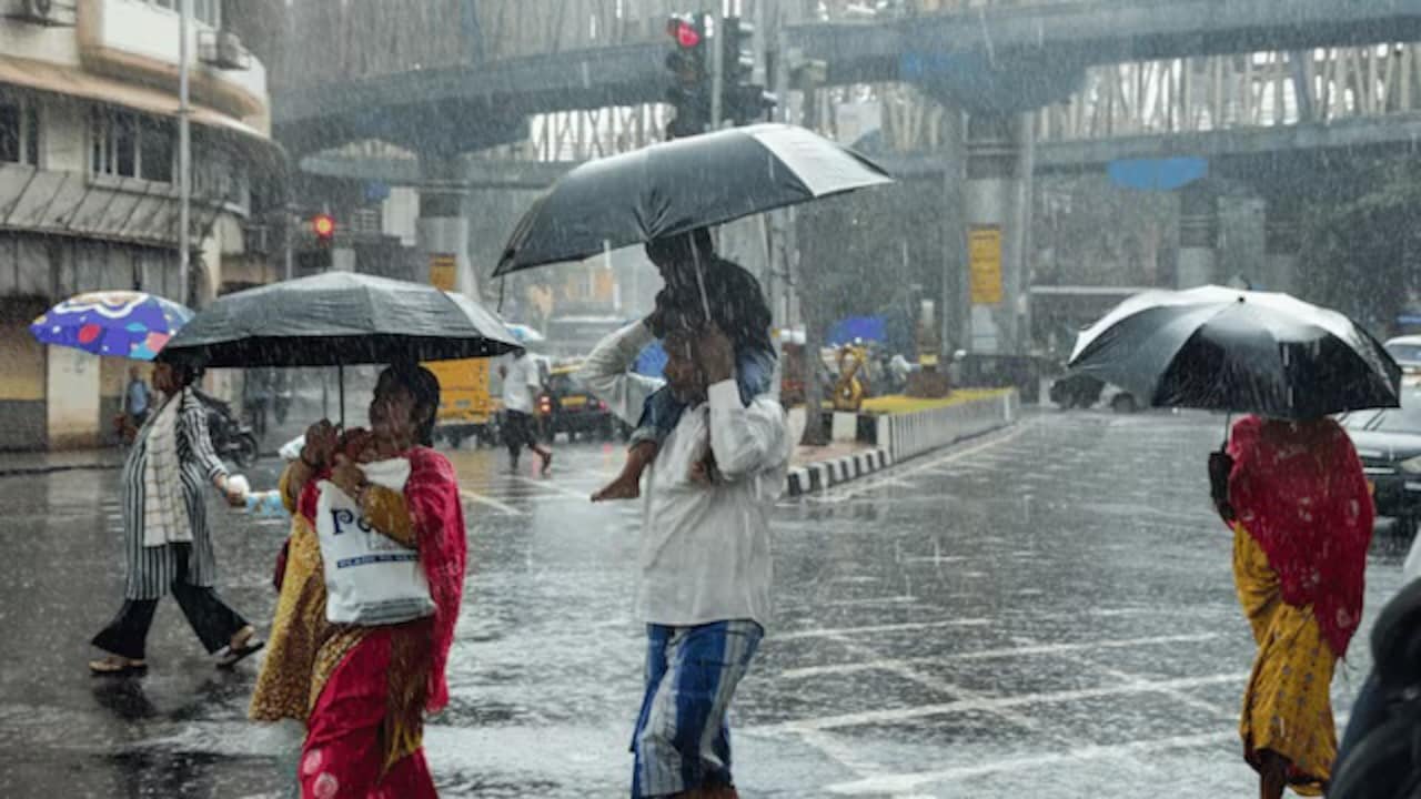 School Holiday: Are Schools & Colleges Closed In Mumbai, Thane And Palghar As Heavy Rains Continue?