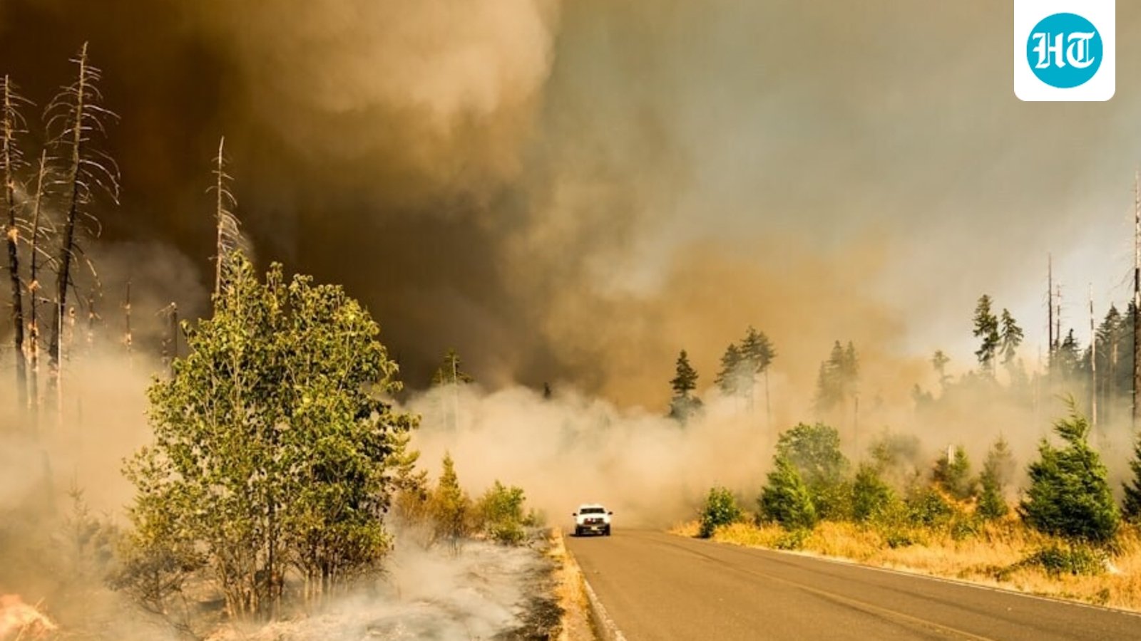 Reno fire update: New brush fire in Peavine as forward progress of blaze near Sparks stopped- check map