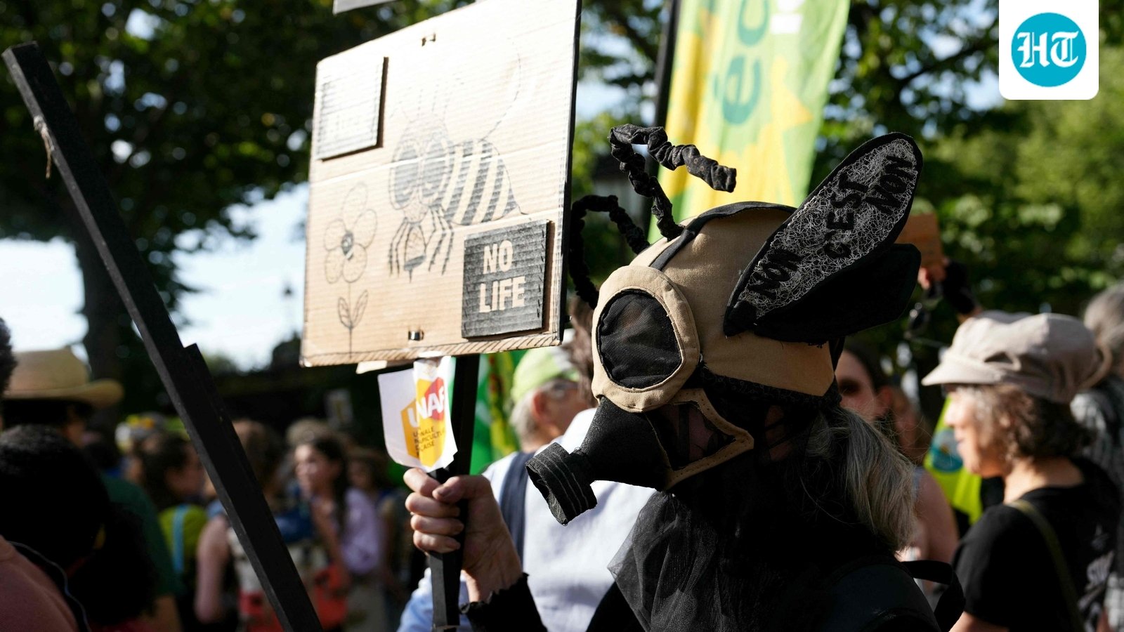 French lawmakers back farm bill - Why it has sparked uproar over bee-harming pesticides