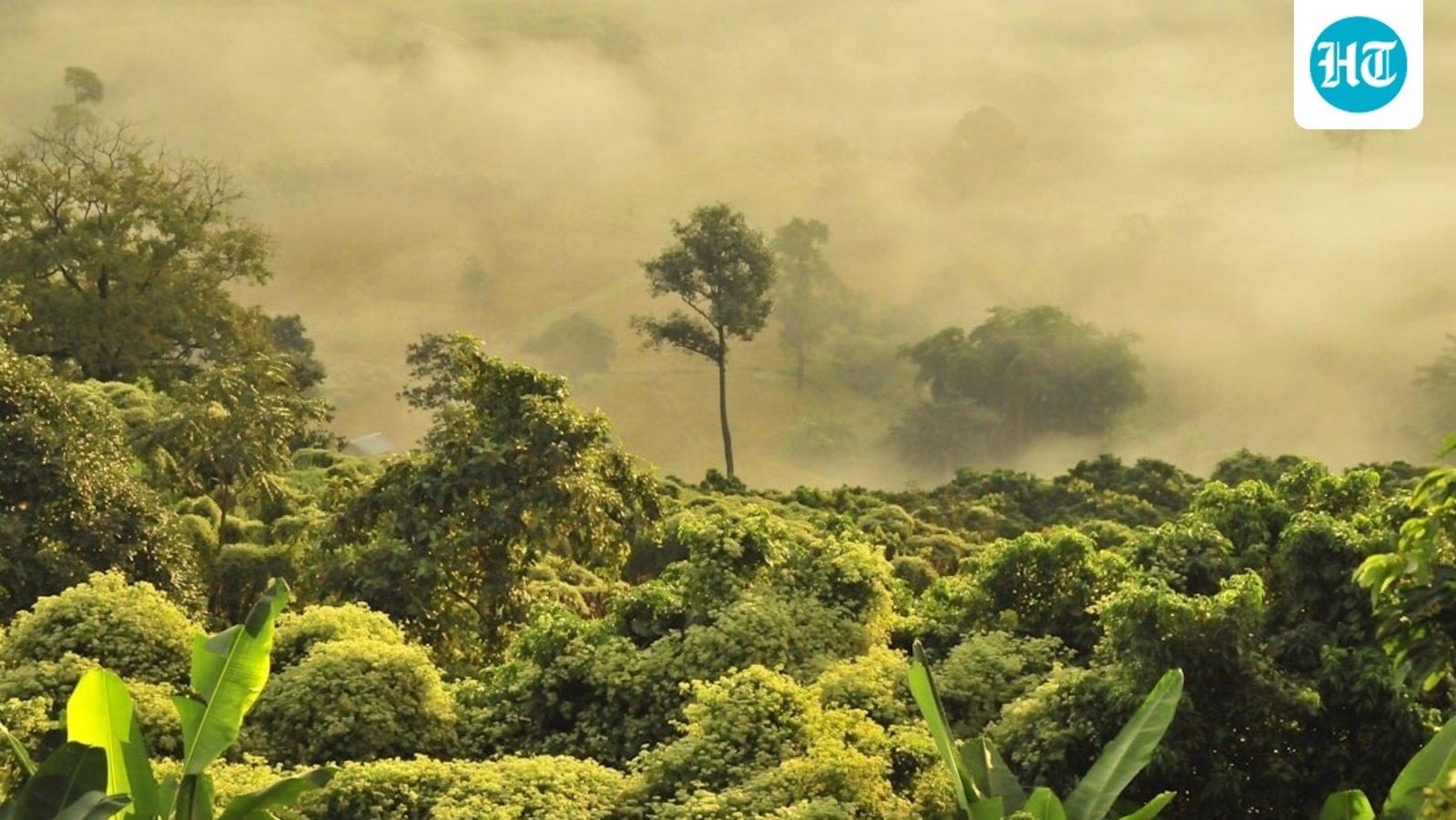 Brazil’s Amazon gets relief after 2024 fire disaster, but ‘super El Nino’ threat looms