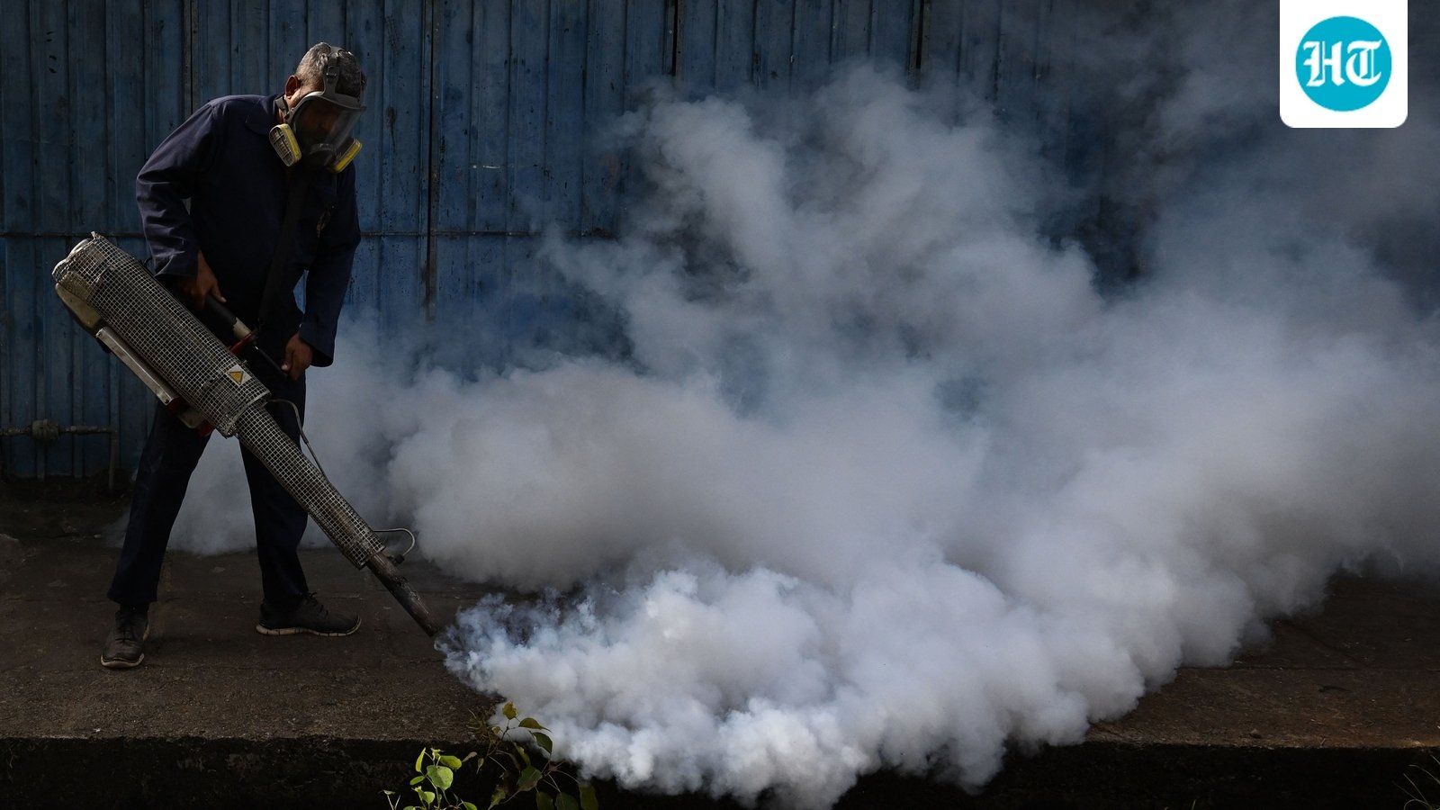 India approves its first dengue vaccine Qdenga: How it works, who is eligible, and why it isn't a silver bullet