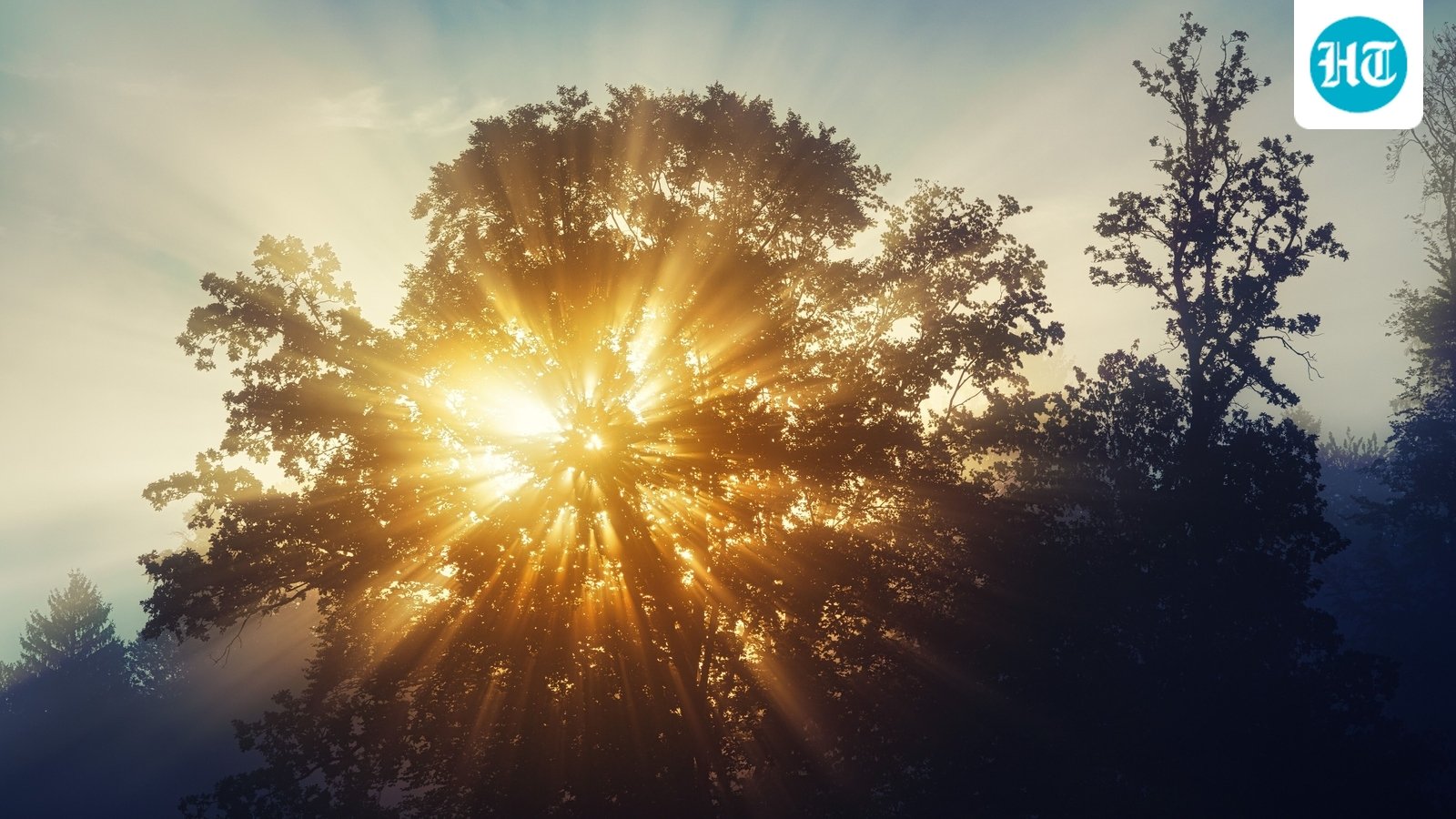 Did you know sunlight can increase your healthy lifespan? Longevity expert Dr Vass explains how