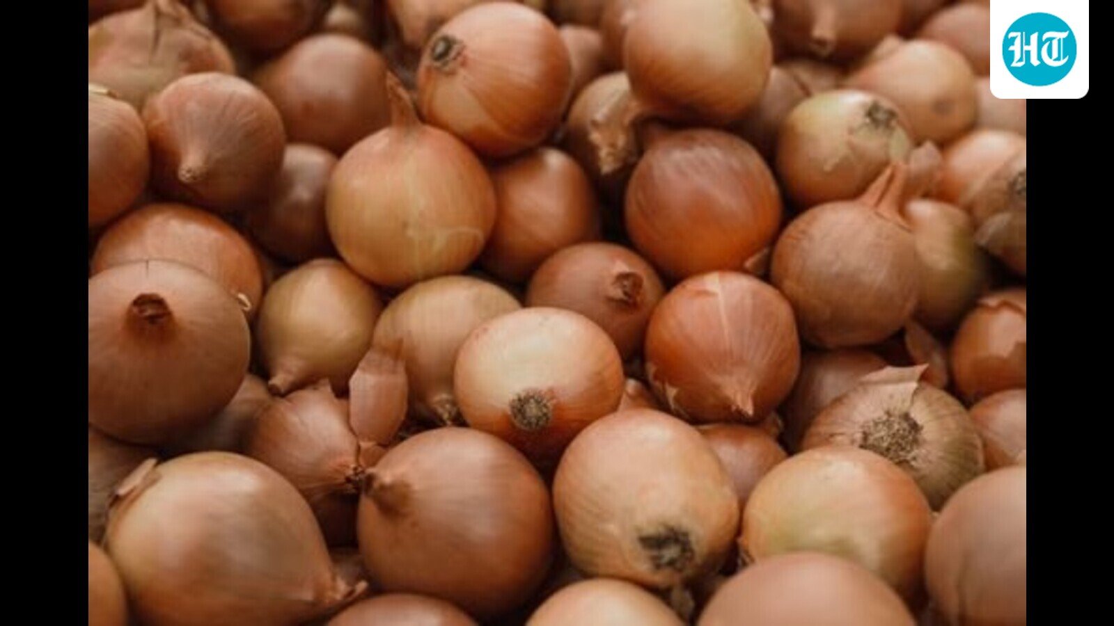 Onion prices in Maharashtra below production cost, govt tells Lok Sabha