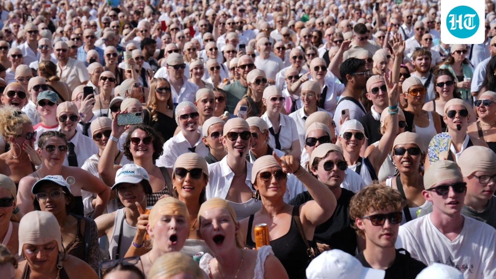 Everyone Gets Lost at the Pitbull Concert