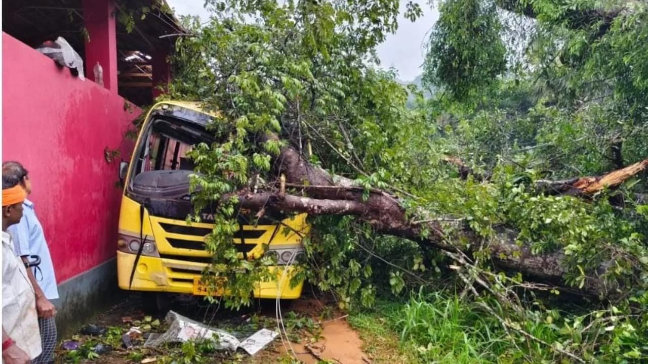 5-Year-Old Girl Killed After Tree Collapses On School Bus In Karnataka