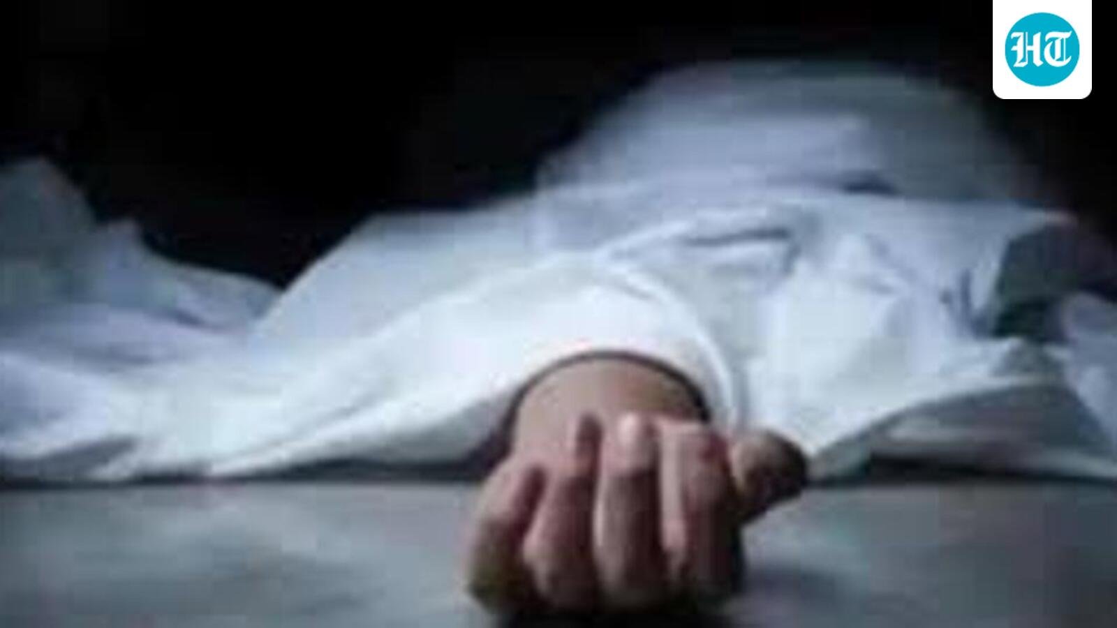 28-year-old man hacks mother to death in Bahraich; arrested