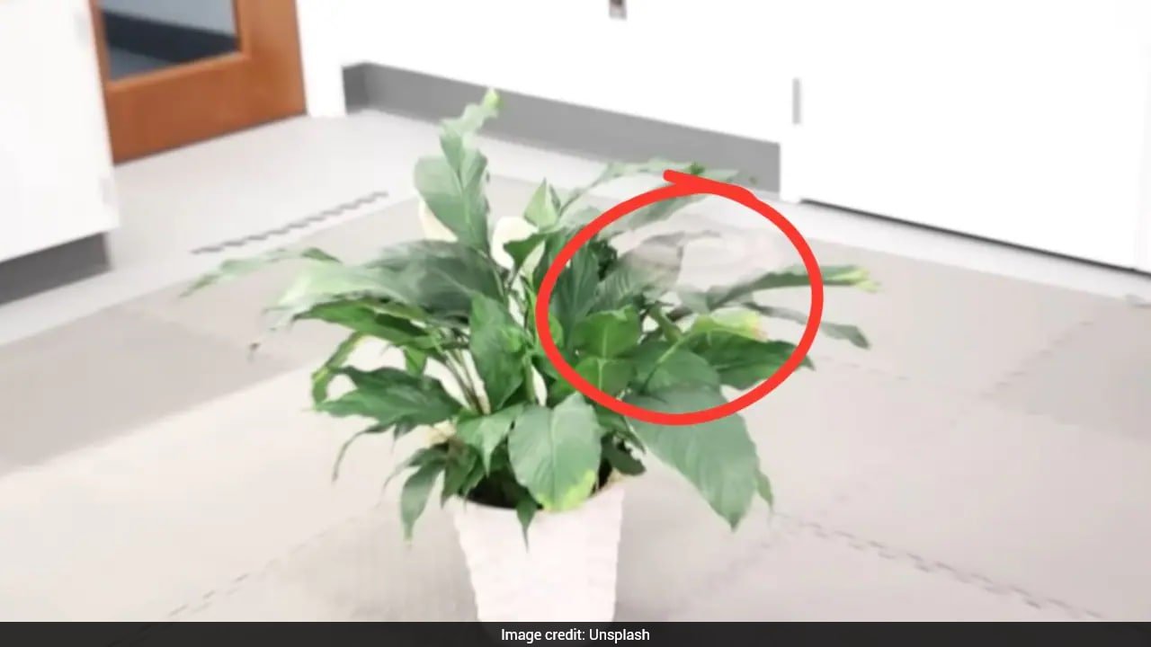 Watch: This Drone Spins So Fast, It Appears Invisible To The Human Eye