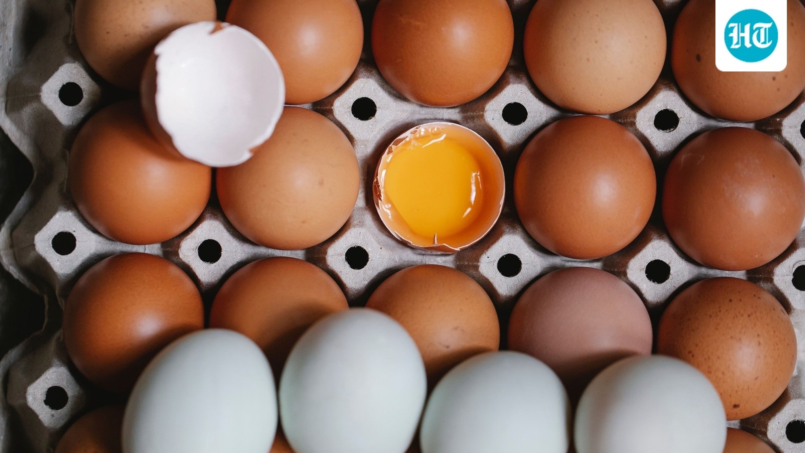 FDA recalls 1.6 million Midwest poultry services eggs over Salmonella risk: Check affected brands and states