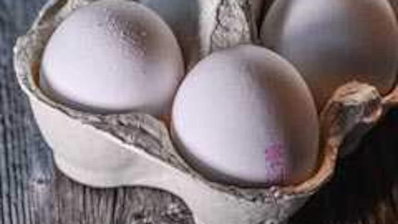 West Bengal Cabinet Approves Eggs For Women And Children In Anganwadi Centres
