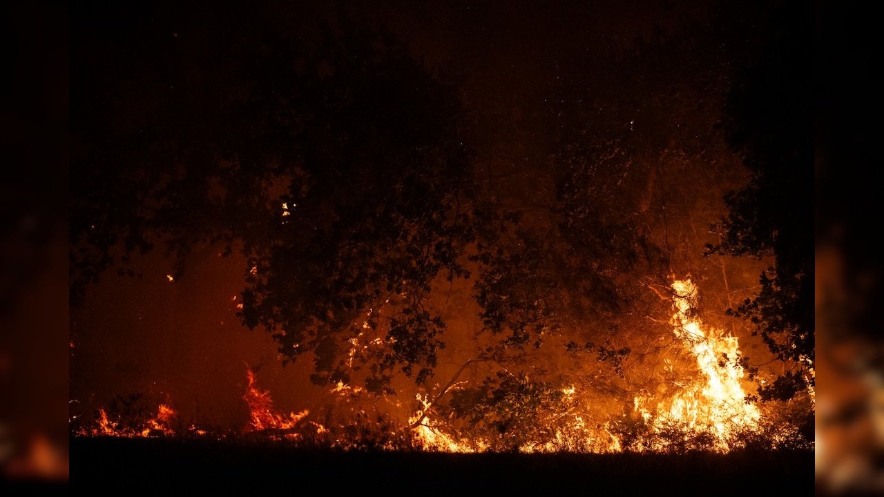 Over 30,000 Evacuated As Wildfires Burn Through France And Spain