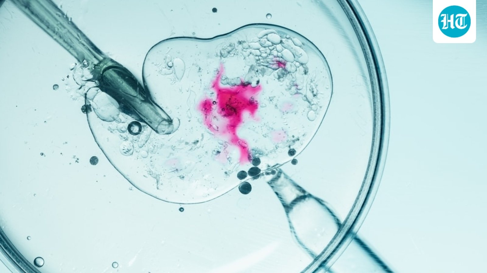 Patient safety must be foundation of the fertility ecosystem