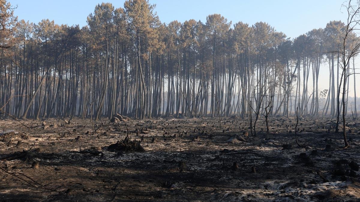 Firefighters in France hold back vast wildfire as heat returns to test their grip