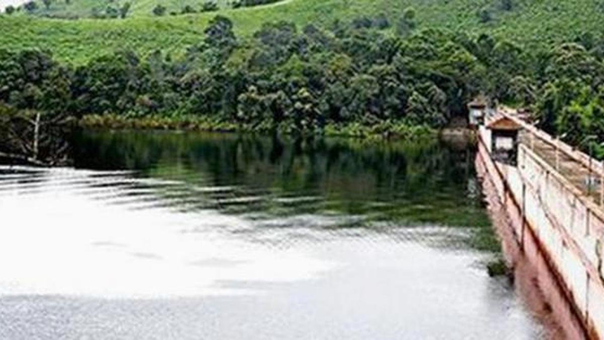 Scientists compile largest meta-dataset of tree inventory studies from India