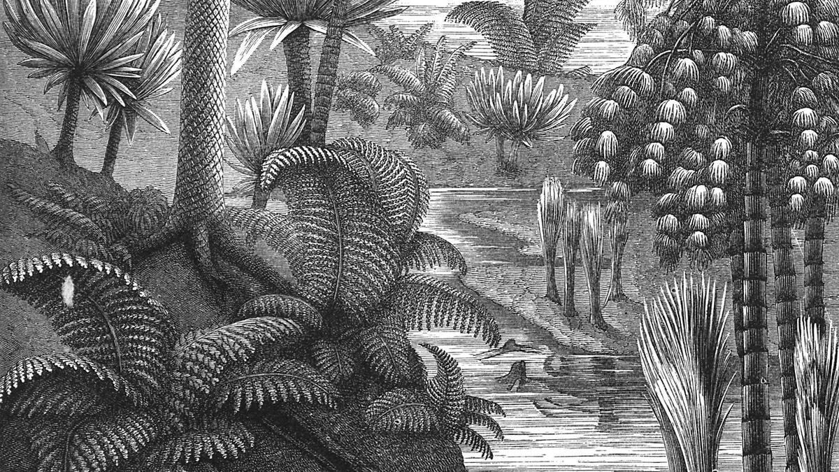 How did we identify fossil fuels to be remains of fossils, particularly those of dinosaurs?