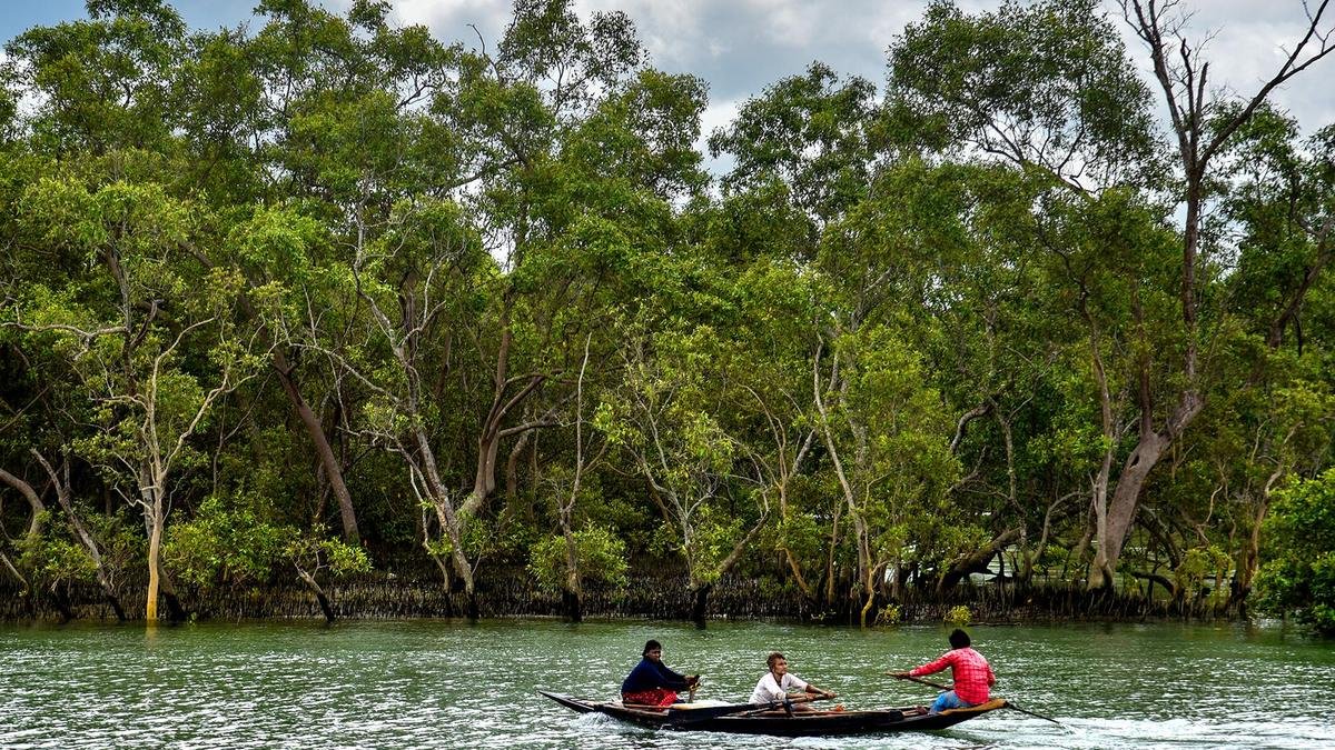 The way forward for West Bengal’s greening