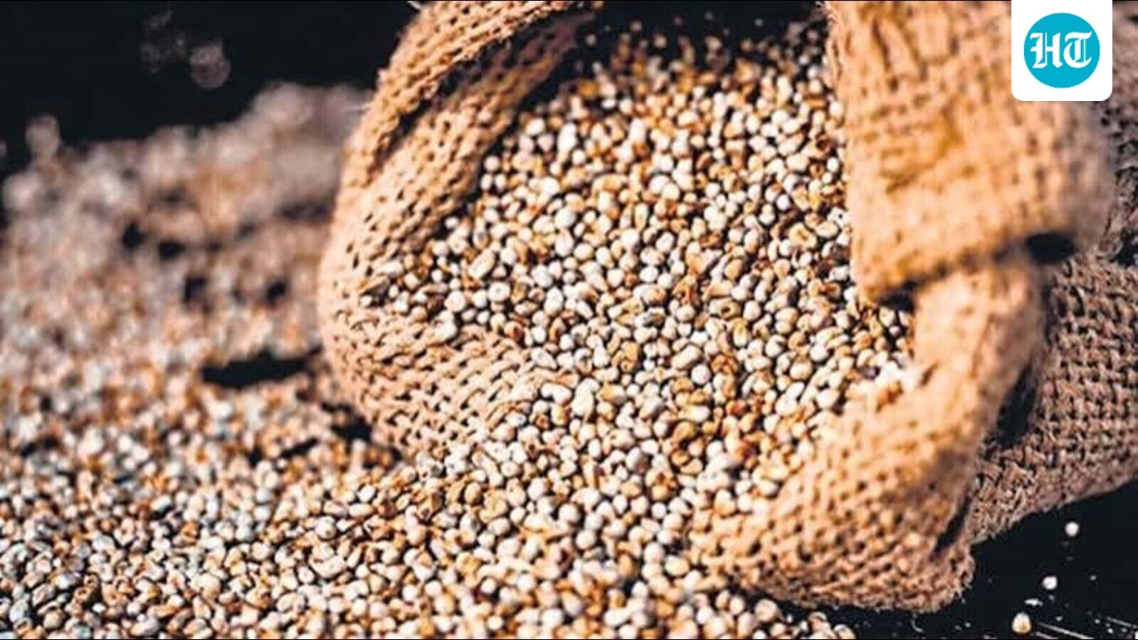 Hisar agri varsity to scale up supply of millet hybrids