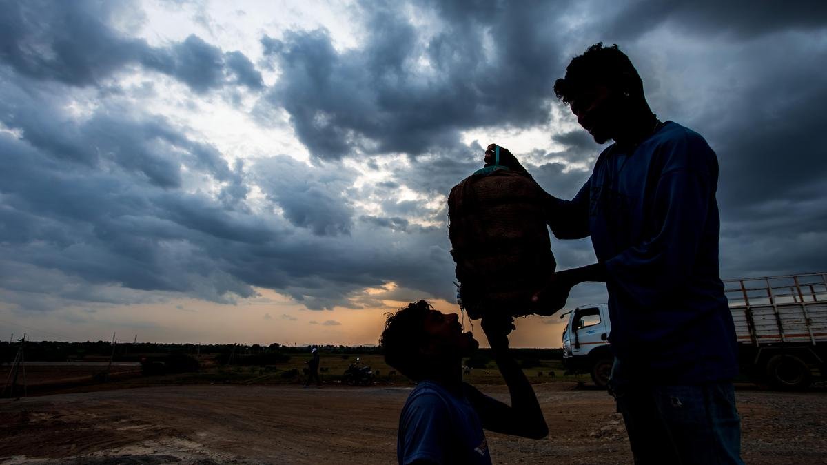 Building a universal social safety net for India’s informal workforce