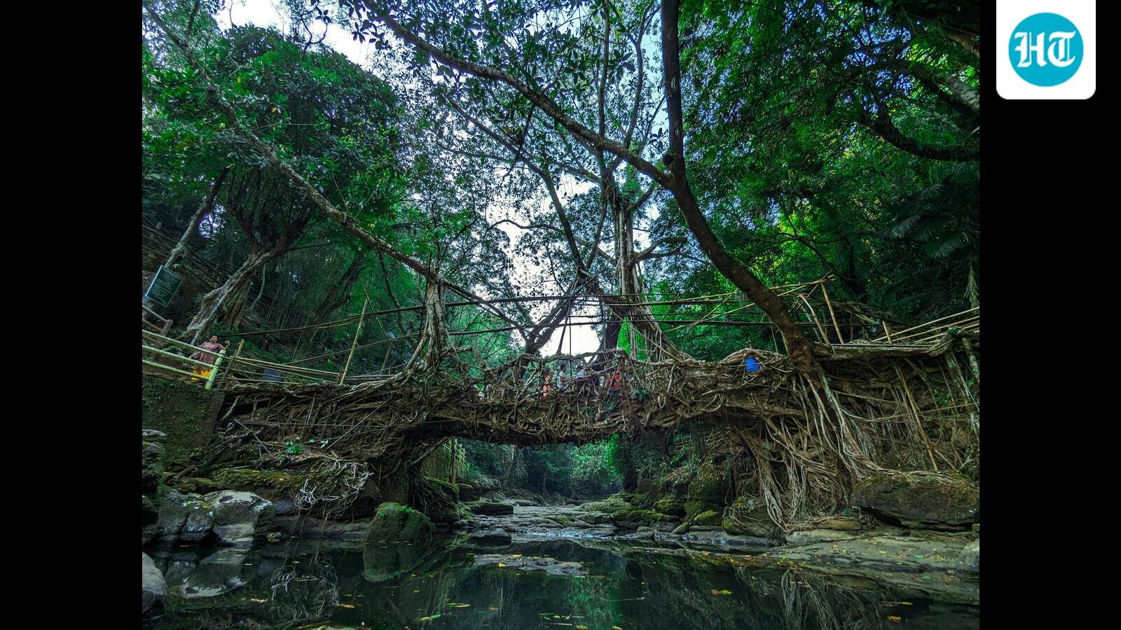 Meghalaya records 58% monsoon rainfall deficit, IMD raises concern