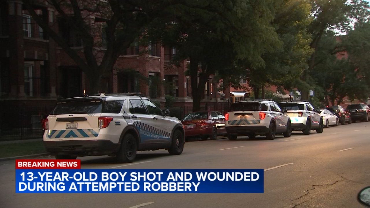 Group shoots 13-year-old boy, tries to rob him at Washington Park home: police