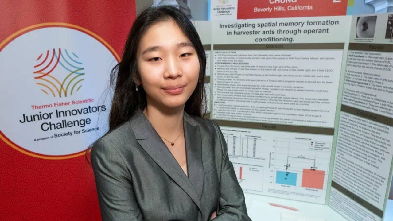 Meet Seungah Chung, who used 200 ants to reveal how they navigate