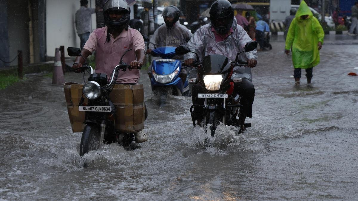 Canal restoration to be expedited to curb waterlogging in Kochi
