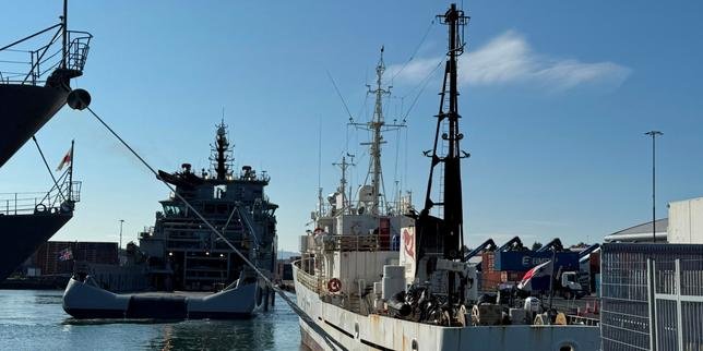 Iceland says it will rule on deporting anti-whaling activists this week