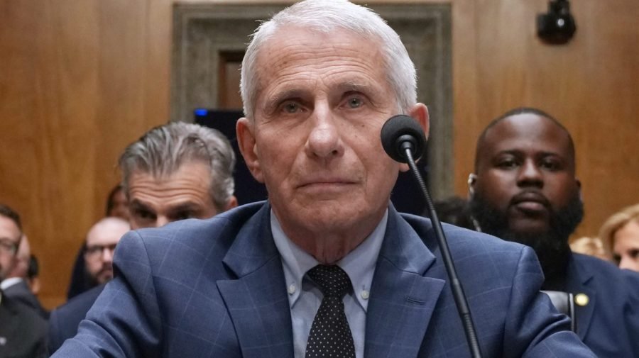 Senate committee votes to hold Fauci in contempt