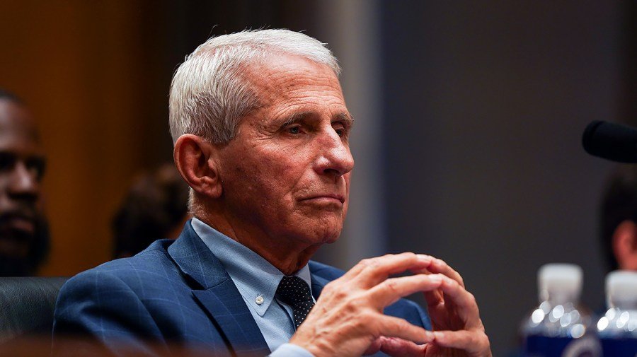 Watch live: Senate panel votes on holding Fauci in contempt
