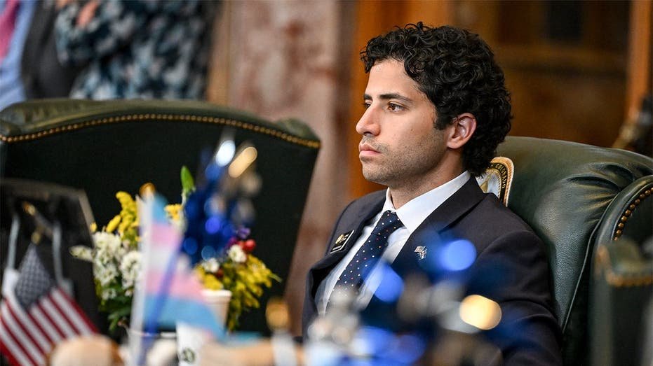 Unearthed paper exposes Dem House hopeful's 'insane' proposal for meeting climate goals