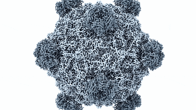 AI just created entirely new viruses not found in nature