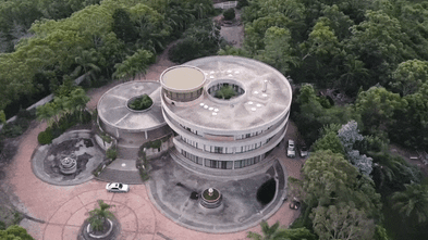Sydney man died in suspected dog attack at iconic ‘Saturn’s Rings’ property