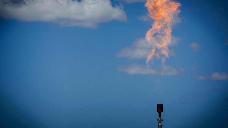 Labor considers capping carbon offsets for Australia’s biggest polluters