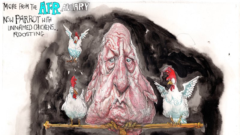 David Rowe cartoons for August 2026