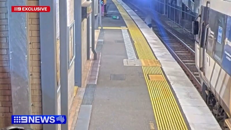 Dog owner cheats death after chasing pet onto railway tracks