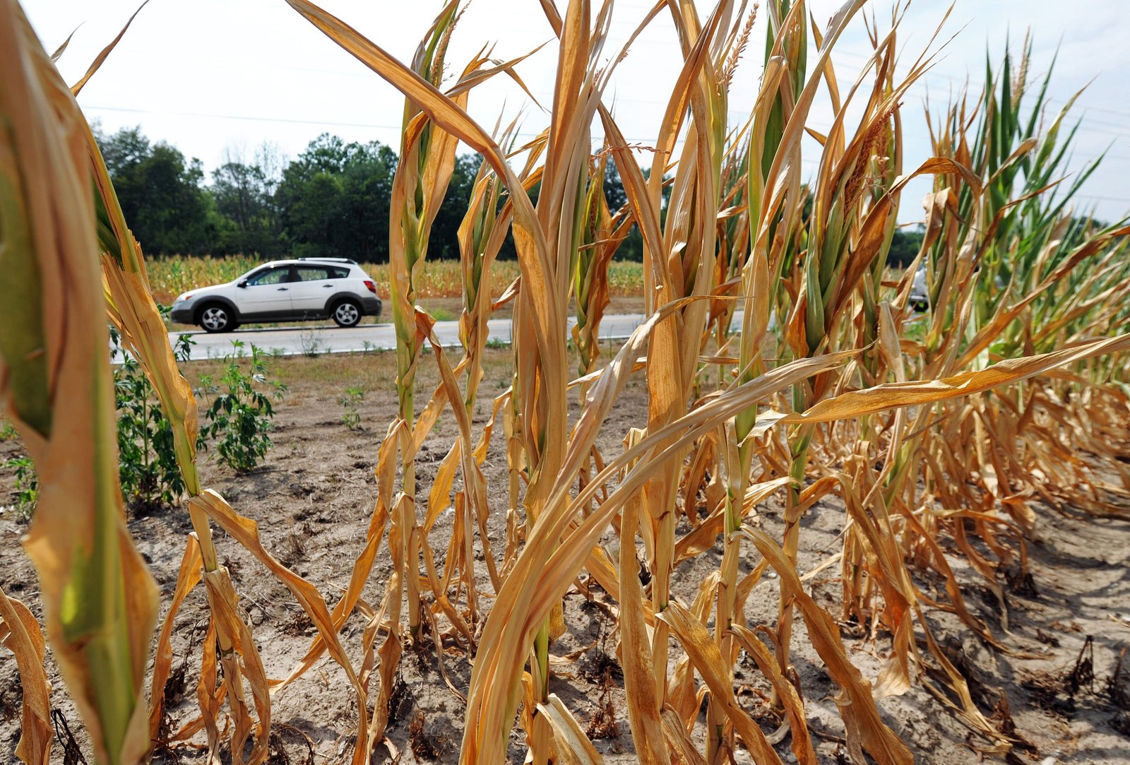 Dry conditions ease in Iowa. Drought monitor shows where it lingers.