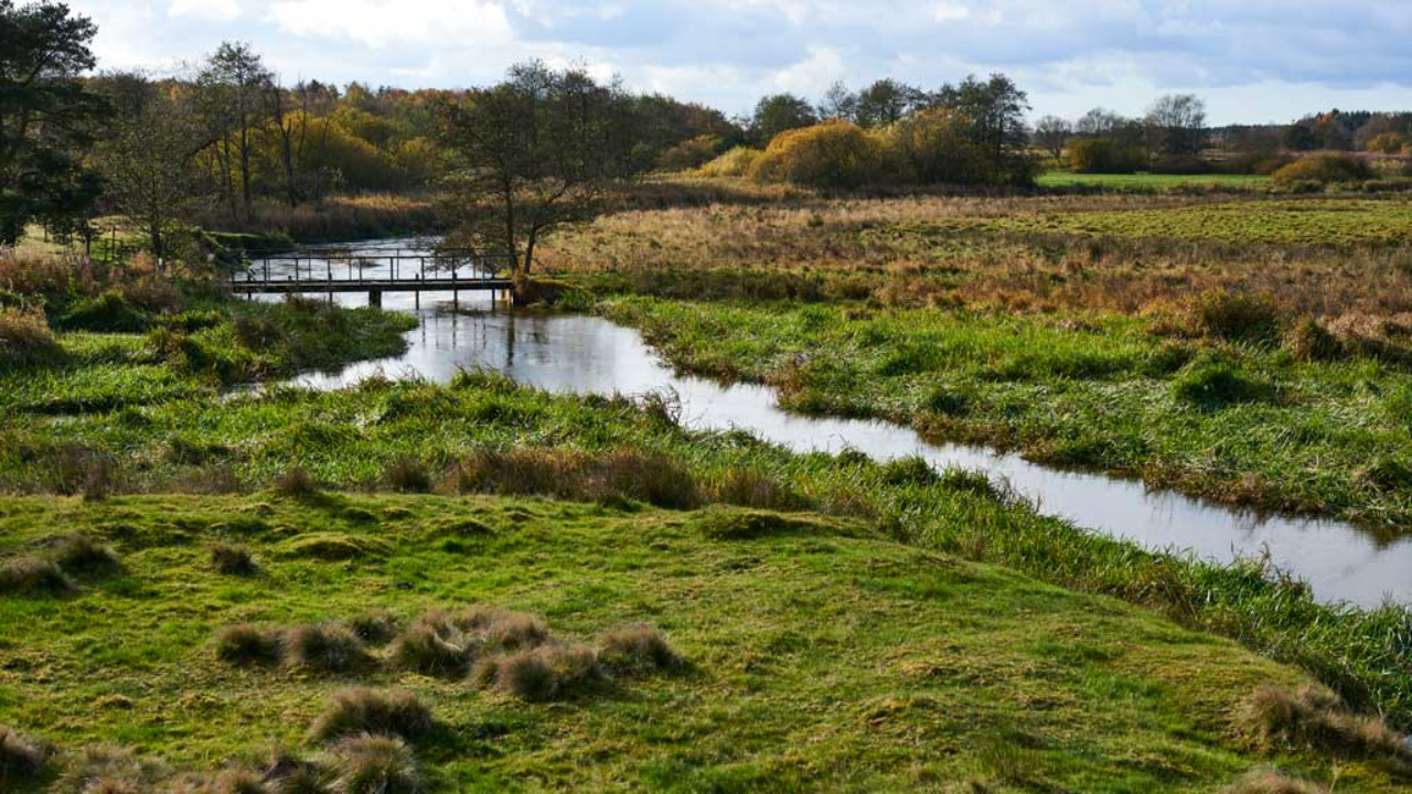 Denmark restored River Skjern, but lost habitats may take centuries to return