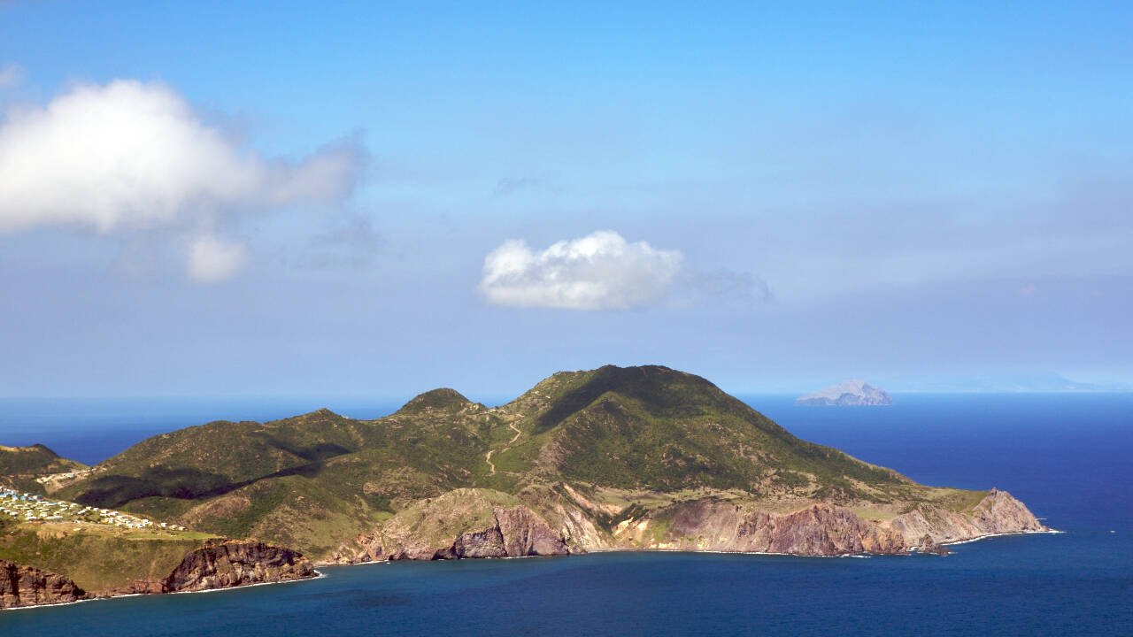 Redonda's wildlife roars back after rats and goats are removed