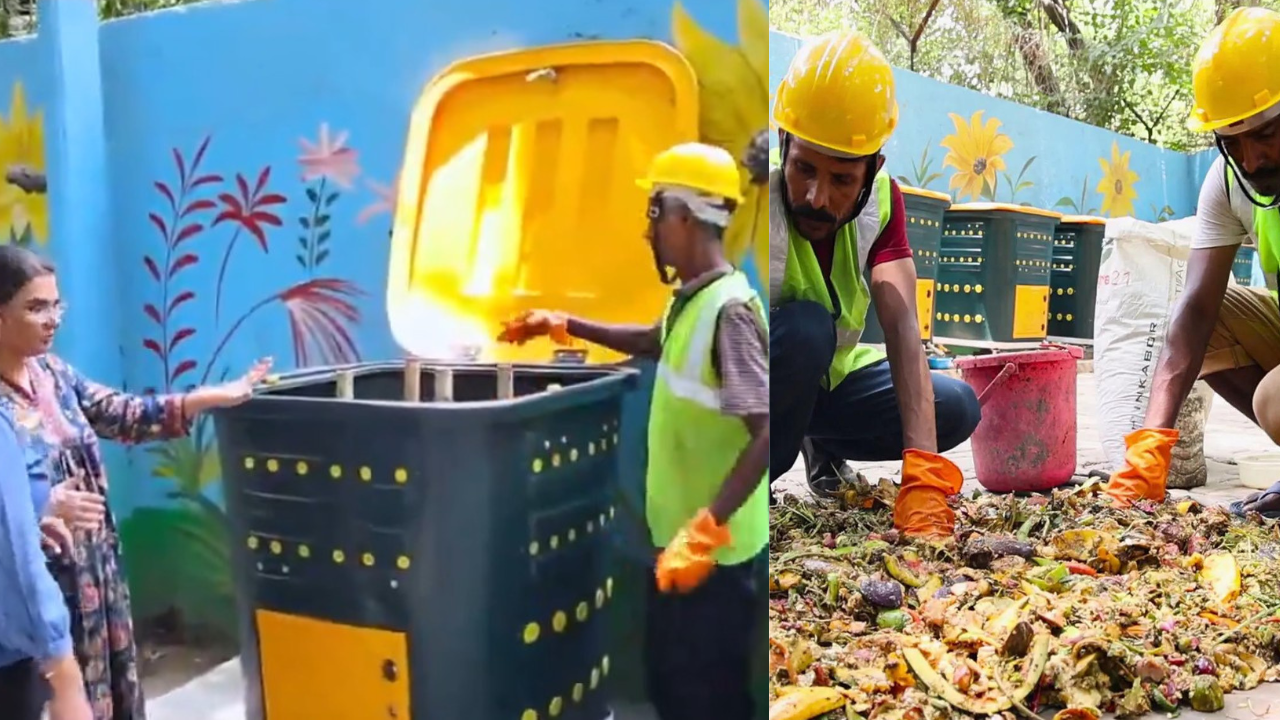 Delhi colony's zero-waste experiment: How 280 families are keeping garbage out of landfills