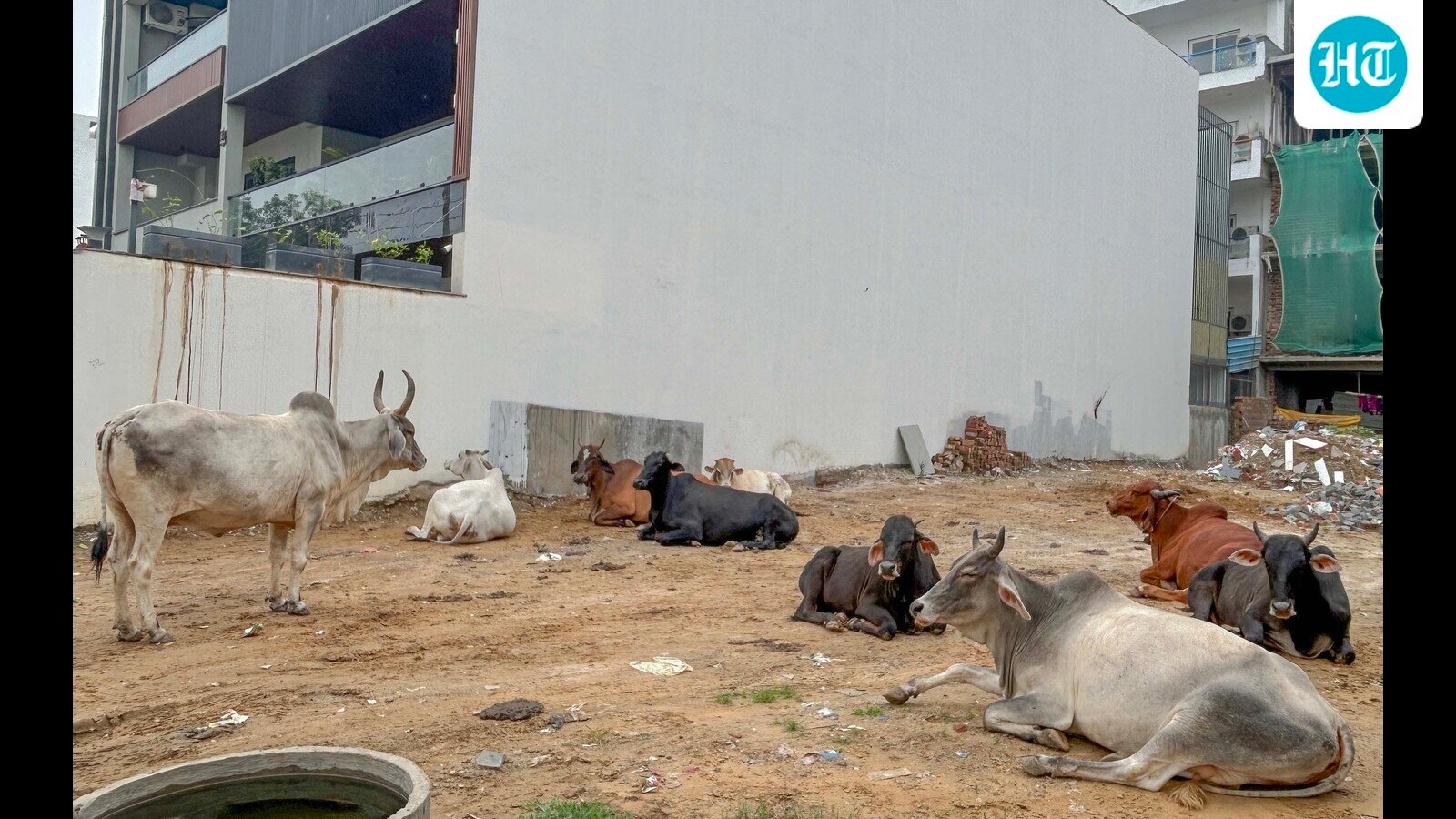 Concern for Gurugram: Sushant Lok 2 locals flag a litany of civic woes