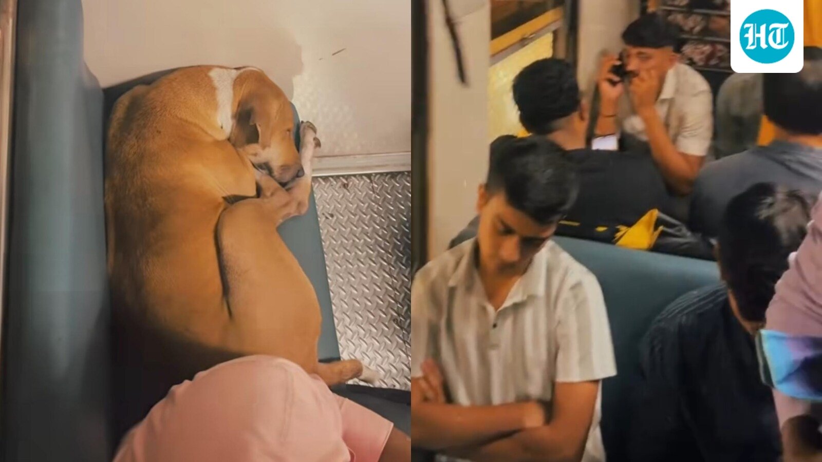 ‘Dogesh bhai’ gets VIP treatment on crowded Mumbai local as commuters let him sleep: ‘First-class treatment’