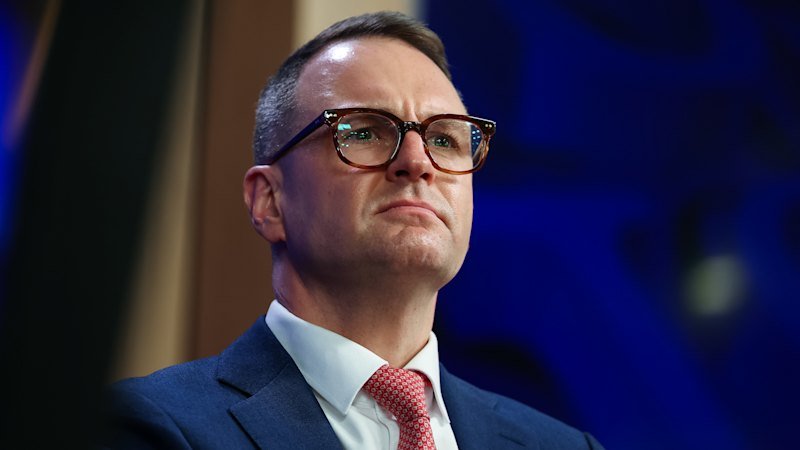 Coalition must take risks to save itself and the economy: Bragg