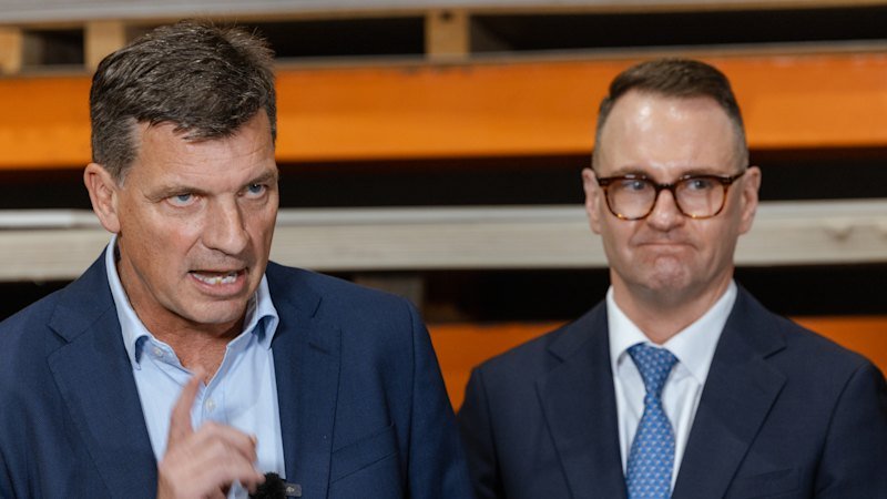 Taylor rebukes Coalition frontbencher after Bragg goes rogue on housing, migration, tax