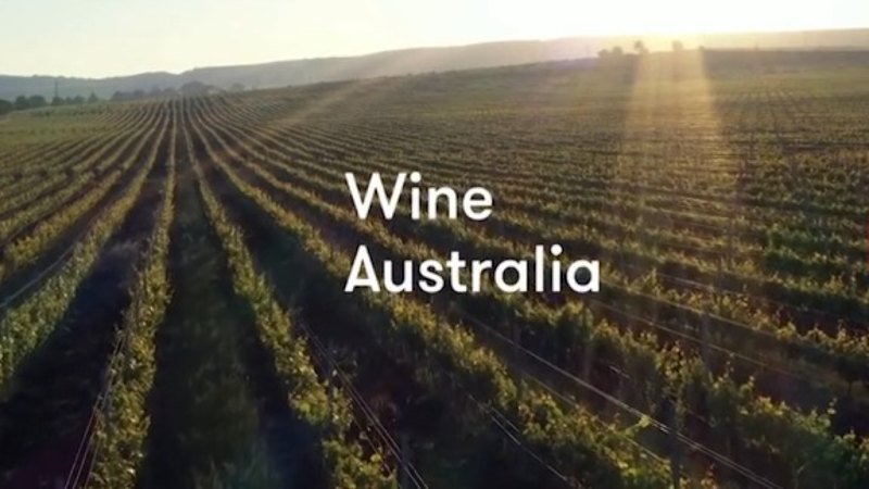 Australia's wine industry is shrinking