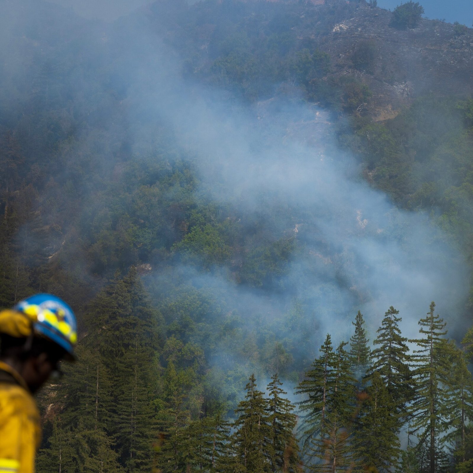 Timber Fire Threatens California’s Big Sur Region: What to Know