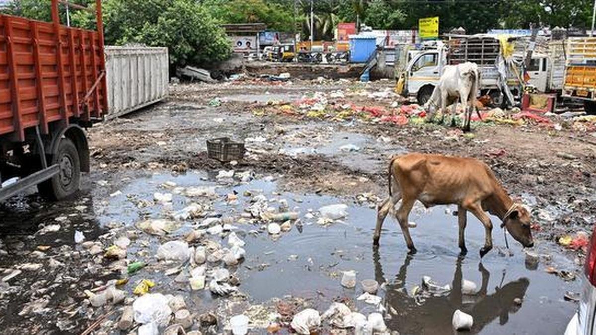 Squalor reigns at Thiruvanmiyur market
