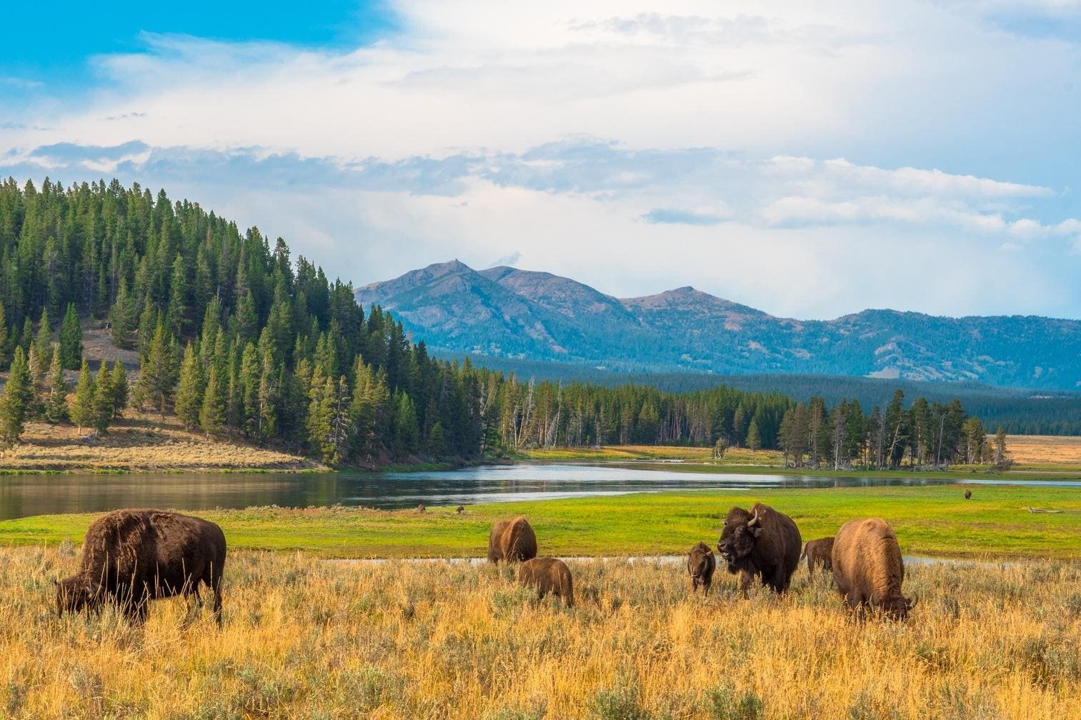 What Makes Someone A ‘Touron’? Travel Experts Share 11 National Park Mistakes To Avoid